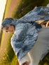 Rain-washed Printed Modal Hijab