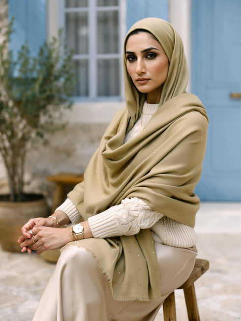Sequins Blended Pashmina Shawl - Biscotti