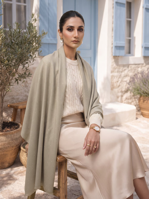 Sequins Blended Pashmina Shawl - Khaaki