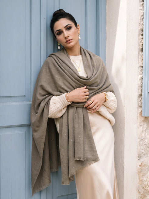 Sequins Blended Pashmina Shawl - Mud Brown