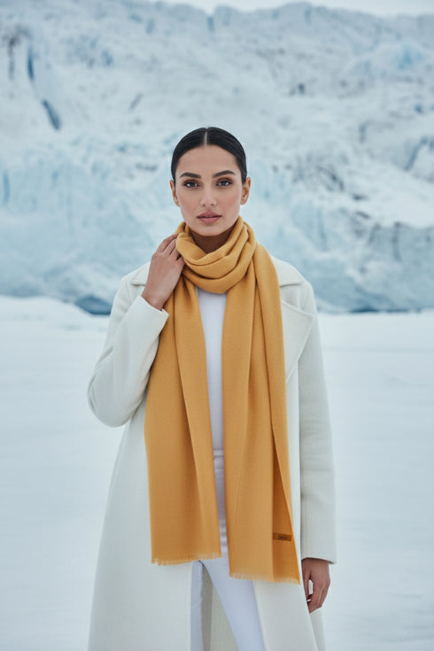 شال كشمير مطبوع - 01